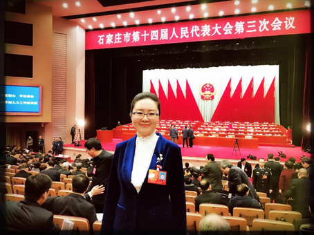 MS - ��ʨ����ᡤ�ٷ�(�й�)