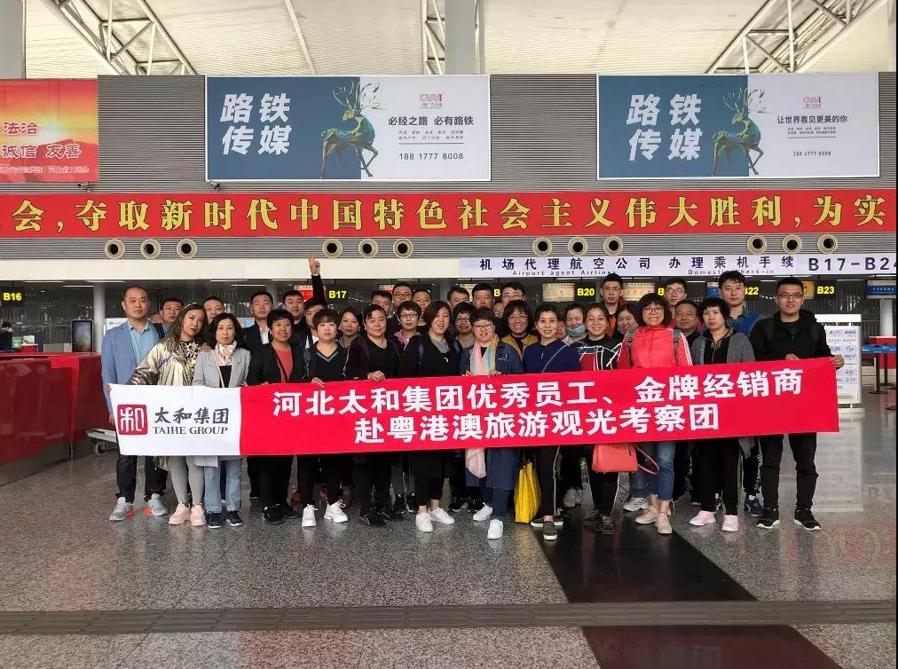 MS - ��ʨ����ᡤ�ٷ�(�й�)