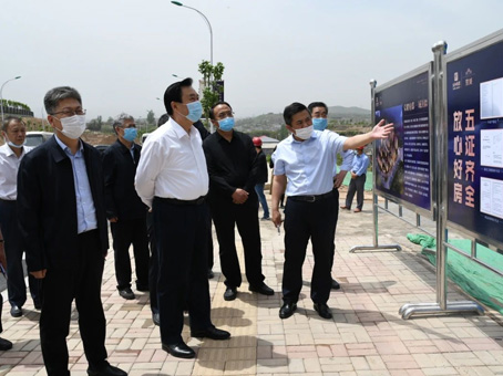 MS - ��ʨ����ᡤ�ٷ�(�й�)