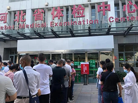 MS - ��ʨ����ᡤ�ٷ�(�й�)