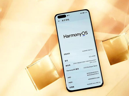 MS - ��ʨ����ᡤ�ٷ�(�й�)