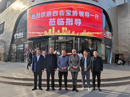 MS - ��ʨ����ᡤ�ٷ�(�й�)