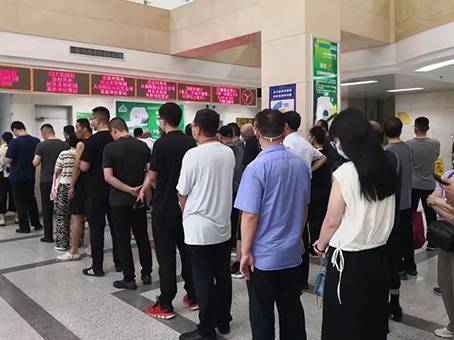 MS - ��ʨ����ᡤ�ٷ�(�й�)