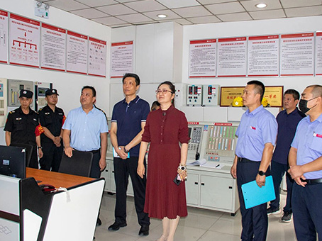 MS - ��ʨ����ᡤ�ٷ�(�й�)