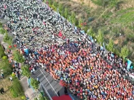 MS - ��ʨ����ᡤ�ٷ�(�й�)