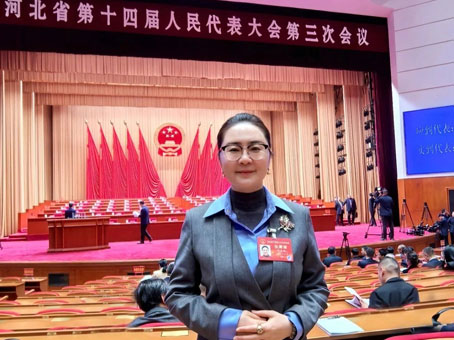 MS - ��ʨ����ᡤ�ٷ�(�й�)