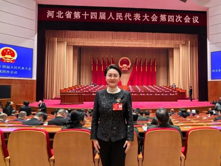 MS - ��ʨ����ᡤ�ٷ�(�й�)