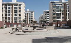 MS - ��ʨ����ᡤ�ٷ�(�й�)