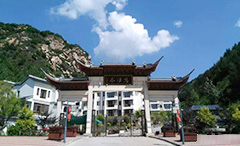 MS - ��ʨ����ᡤ�ٷ�(�й�)